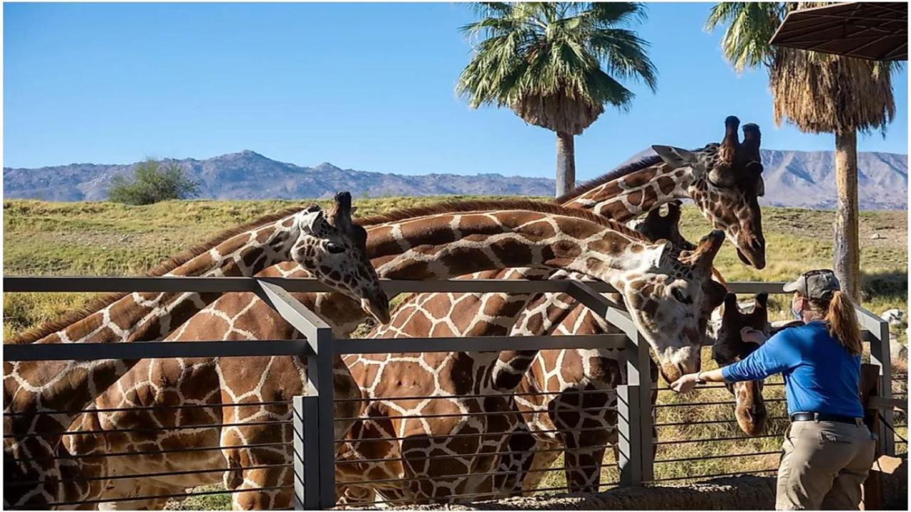 Holiday Inn Express Palm Desert By Ihg Zewnętrze zdjęcie